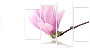 Kvet - obraz (Obraz 110x60cm)