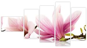 Kvetina - obraz (Obraz 110x60cm)