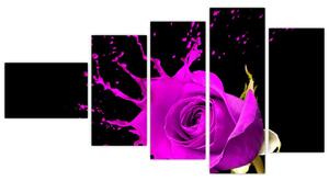 Abstraktný obraz ruža - obraz (Obraz 110x60cm)