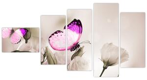 Motýľ na kvetine - obraz (Obraz 110x60cm)