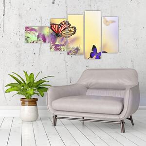 Motýle - obraz (Obraz 110x60cm)