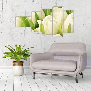 Detail tulipánov - obraz (Obraz 110x60cm)