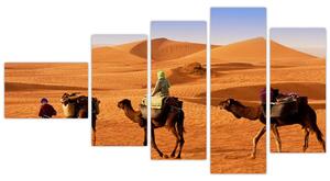 Ťavy v púšti - obraz (Obraz 110x60cm)