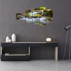 Rieka v lese - obraz (Obraz 110x60cm)