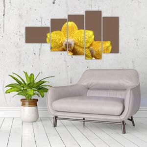 Žltá orchidea - obraz (Obraz 110x60cm)