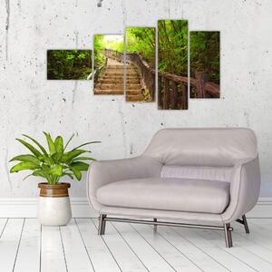 Schody v lese - obraz (Obraz 110x60cm)