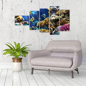 Podmorský svet - obraz (Obraz 110x60cm)