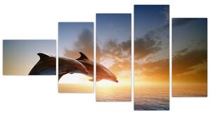 Delfíny - obraz (Obraz 110x60cm)