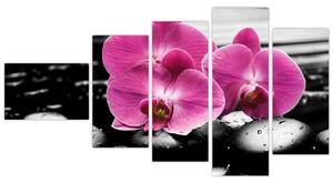 Obraz orchideí (Obraz 110x60cm)