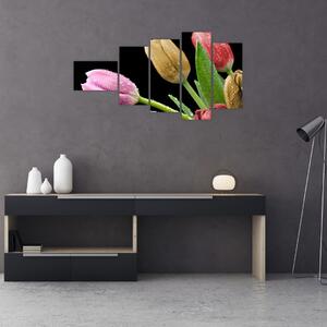 Tulipány - obraz (Obraz 110x60cm)