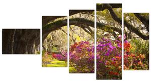 Záhrada - obraz (Obraz 110x60cm)