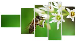 Fotka včely - obraz (Obraz 110x60cm)