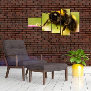Včela - obraz (Obraz 110x60cm)