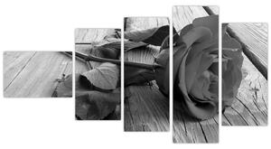 Obraz čiernobiele ruže (Obraz 110x60cm)