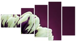 Makro tulipánov - obraz (Obraz 110x60cm)