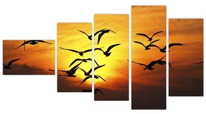Obraz letiacich vtákov (Obraz 110x60cm)
