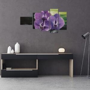 Obraz kvetov orchidey (Obraz 110x60cm)