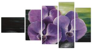 Obraz kvetov orchidey (Obraz 110x60cm)