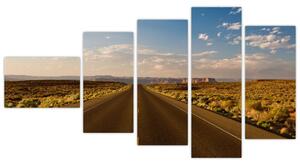Panorama cesty - obraz (Obraz 110x60cm)