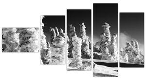 Obraz - zimné hory (Obraz 110x60cm)