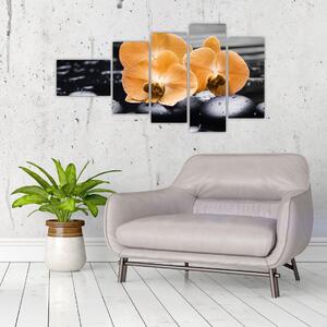 Kvet orchidey - obraz na stenu (Obraz 110x60cm)
