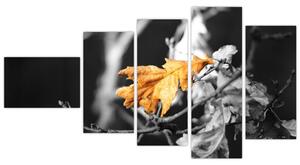 Obraz - prichádzajúce jeseň (Obraz 110x60cm)