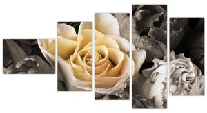 Obraz ruže (Obraz 110x60cm)