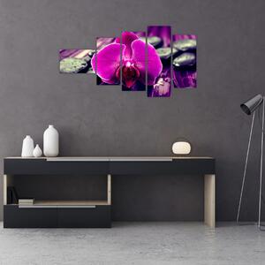 Obraz orchidey (Obraz 110x60cm)
