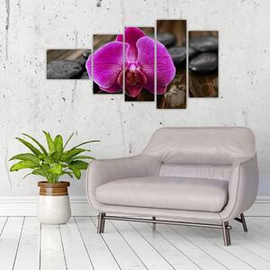 Obraz orchidey (Obraz 110x60cm)