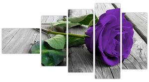 Obrazy kvetov - ruža (Obraz 110x60cm)