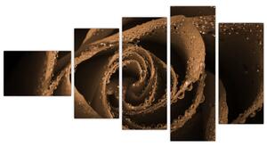 Detail ruže - obraz (Obraz 110x60cm)