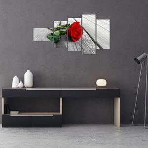 Moderný obraz - ruža (Obraz 110x60cm)