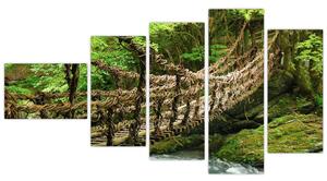 Obraz - most v prírode (Obraz 110x60cm)