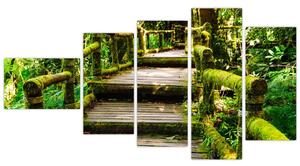 Schody v záhrade - obraz (Obraz 110x60cm)