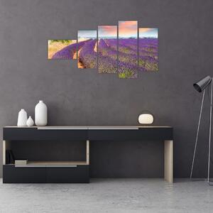 Levanduľové polia - obraz (Obraz 110x60cm)