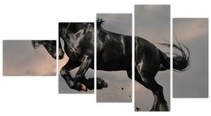 Čierny kôň, obraz (Obraz 110x60cm)