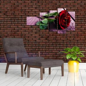 Ležiaci ruža - obraz (Obraz 110x60cm)