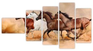 Obraz kôň (Obraz 110x60cm)