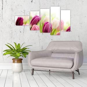 Tulipány, maľby (Obraz 110x60cm)