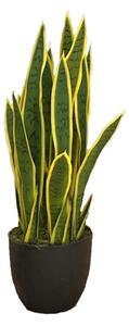 Artificial plant Sansewieria Laurentii 65cm