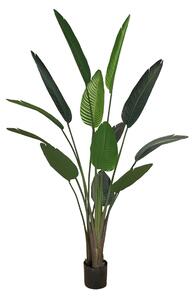 Artificial pot plant Strelicja 190cm