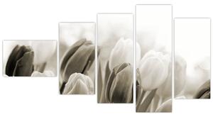 Obraz tulipánov (Obraz 110x60cm)