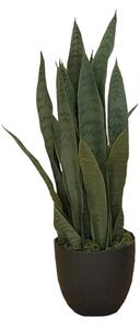 Artificial plant Sansewieria Zelenica 65cm