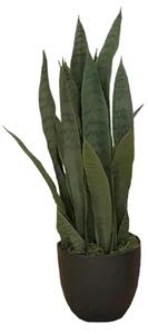 Artificial plant Sansewieria Zelenica 65cm