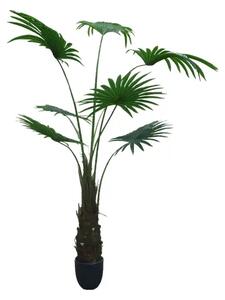 Artificial plant Washingtonia Robusta 180cm
