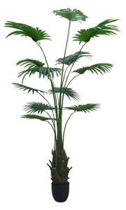 Artificial plant Washingtonia Robusta 200cm