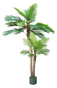 Palm Arenga 250cm