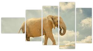 Slon na lane, obraz (Obraz 110x60cm)