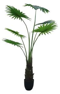 Artificial plant Washingtonia Robusta 160cm