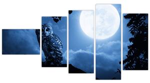 Nočná príroda, obrazy (Obraz 110x60cm)